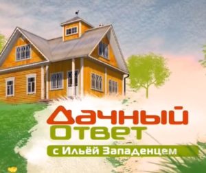Дачный ответ от 09.08.2026